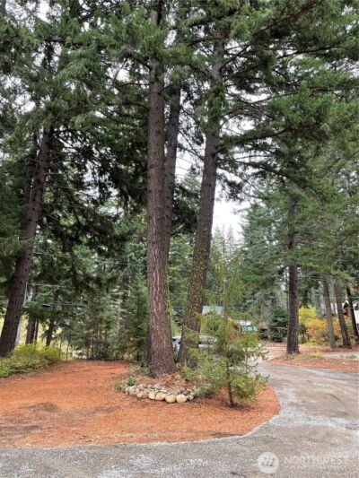 991 Oakmont Drive , Cle Elum, WA 98922 - Photo 14