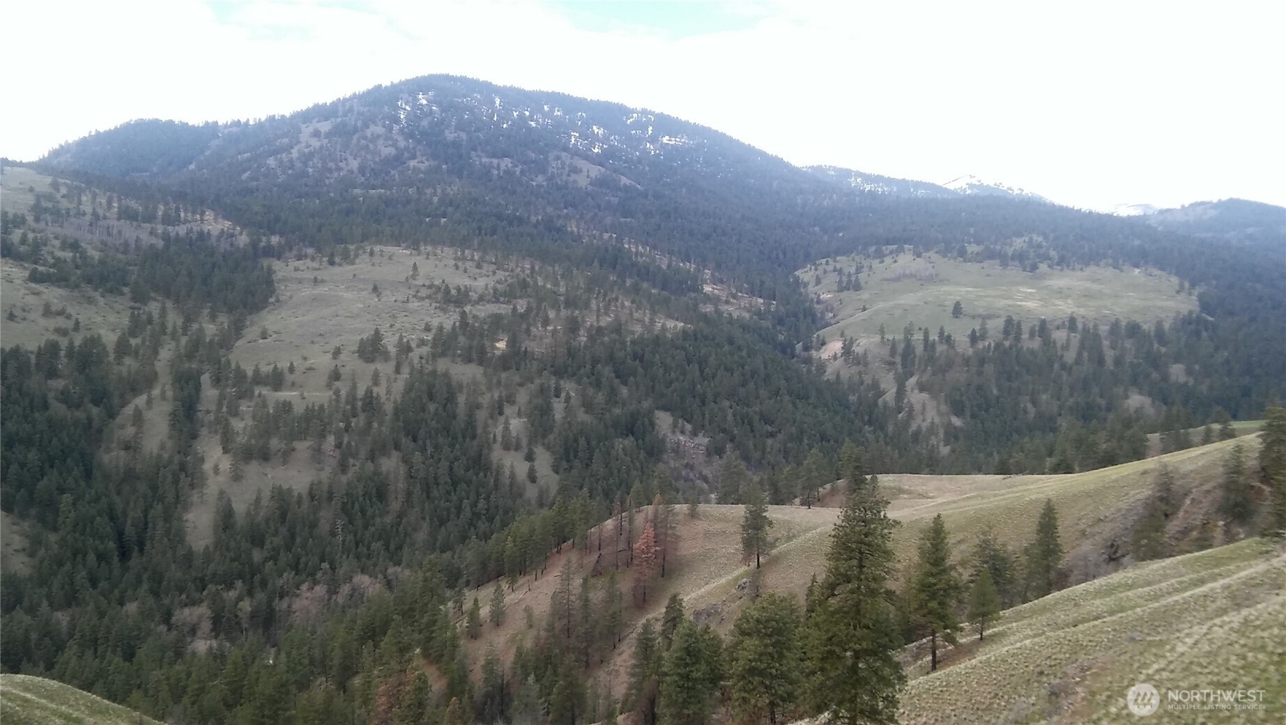 0 TBD N Fork Salmon Creek Road , Conconully, WA 98819
