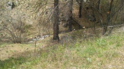 0 TBD N Fork Salmon Creek Road , Conconully, WA 98819 - Photo 2