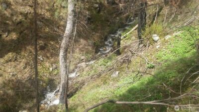 0 TBD N Fork Salmon Creek Road , Conconully, WA 98819 - Photo 3