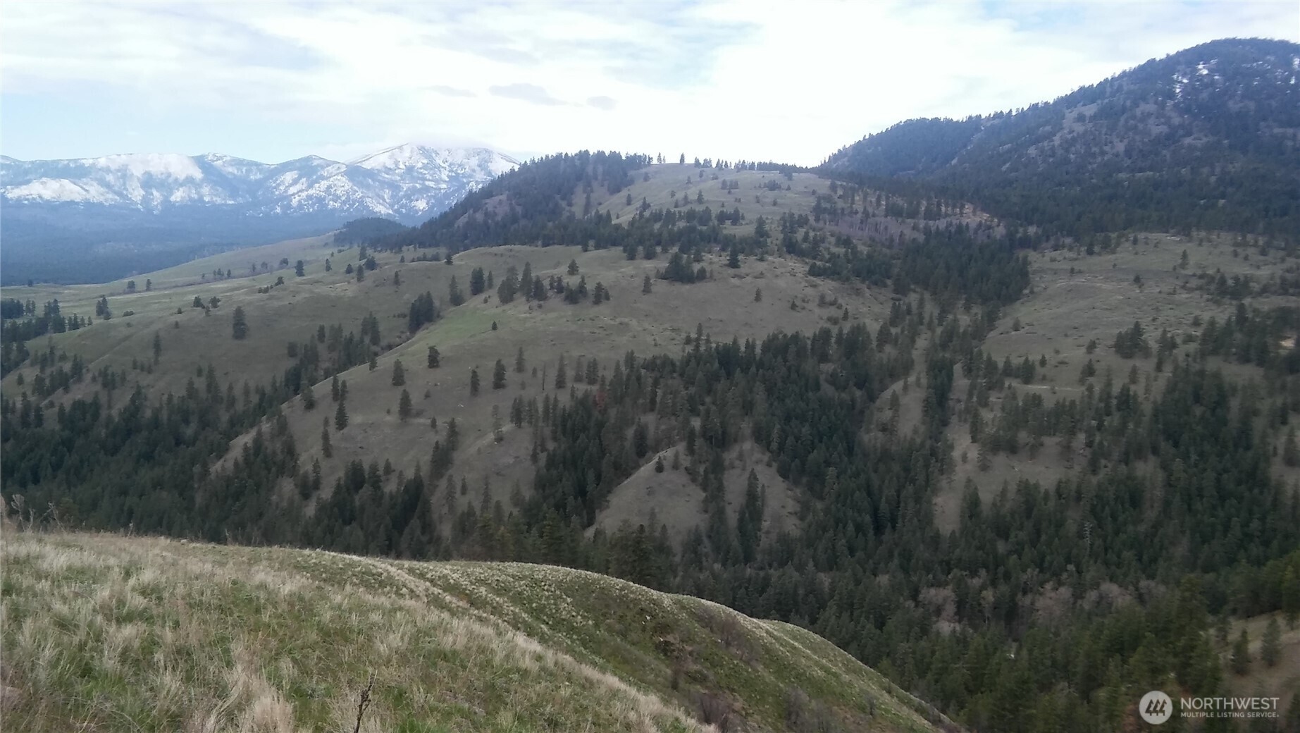 0 TBD N Fork Salmon Creek Road , Conconully, WA 98819