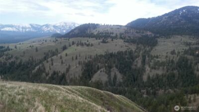 0 TBD N Fork Salmon Creek Road , Conconully, WA 98819 - Photo 5