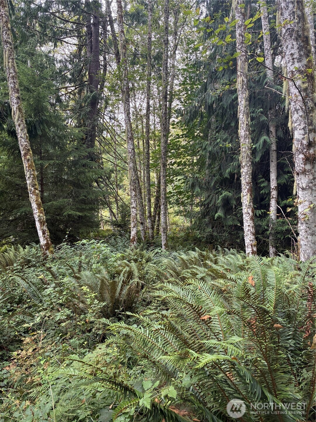 52914 131st Ave E , Eatonville, WA 98328