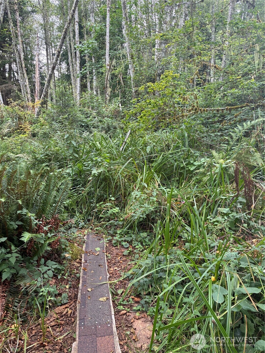 52914 131st Ave E , Eatonville, WA 98328