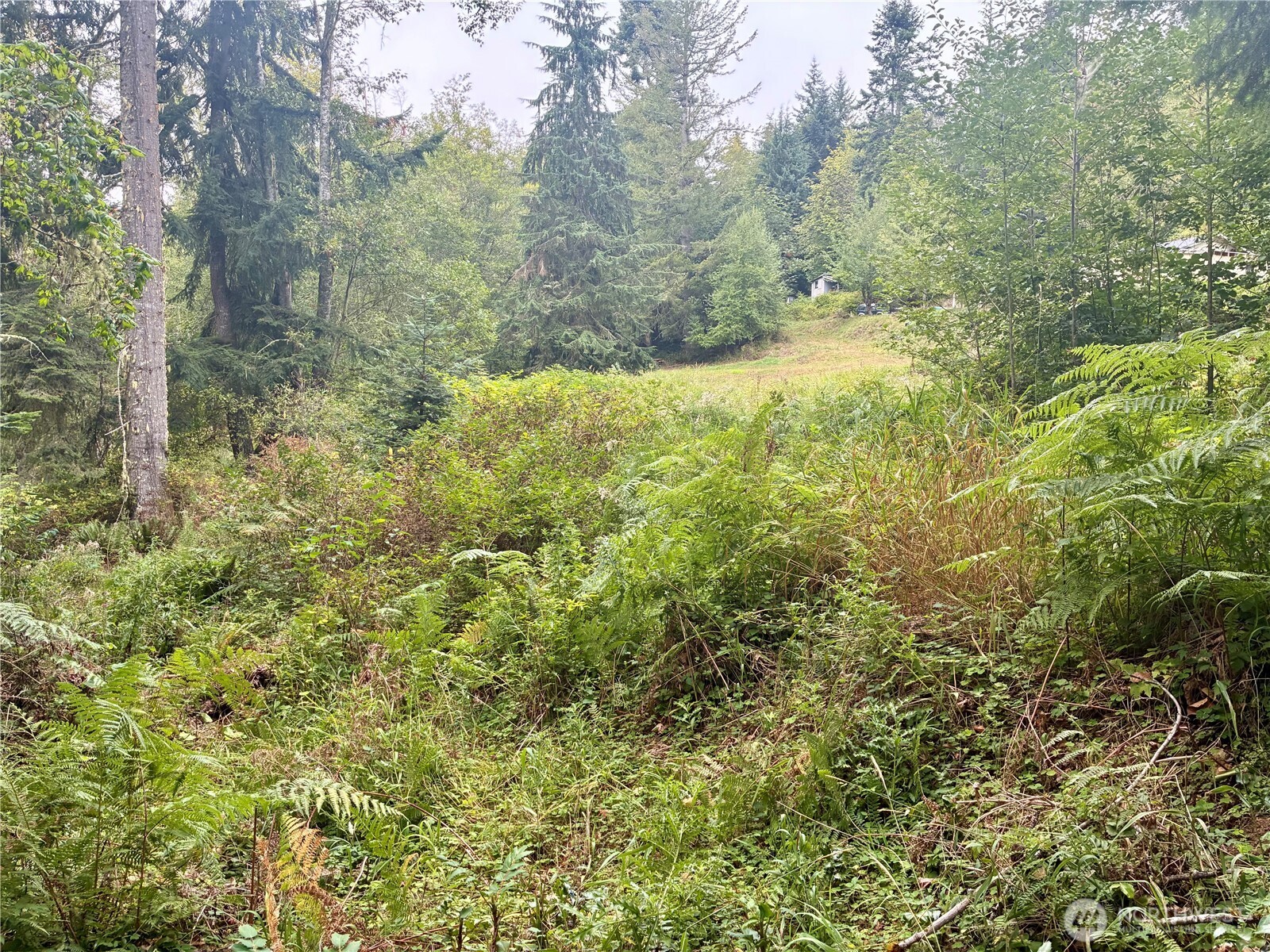 52914 131st Ave E , Eatonville, WA 98328