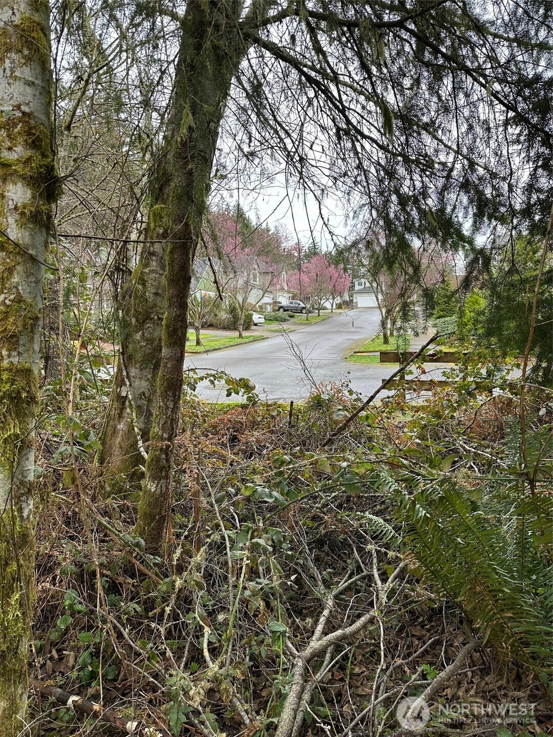 3133 32nd Avenue NW, Olympia, WA 98502