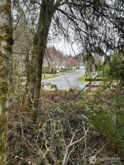 3133 32nd Avenue NW, Olympia, WA 98502 - Photo 9