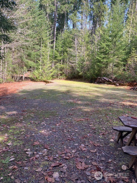 100 N Dow Mountain Drive , Hoodsport, WA 98548