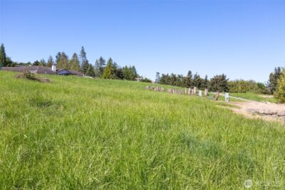 623 Doe Run Road , Sequim, WA 98382 - Photo 3
