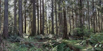 0 Lot 31 NW Lakeness , Poulsbo, WA 98370