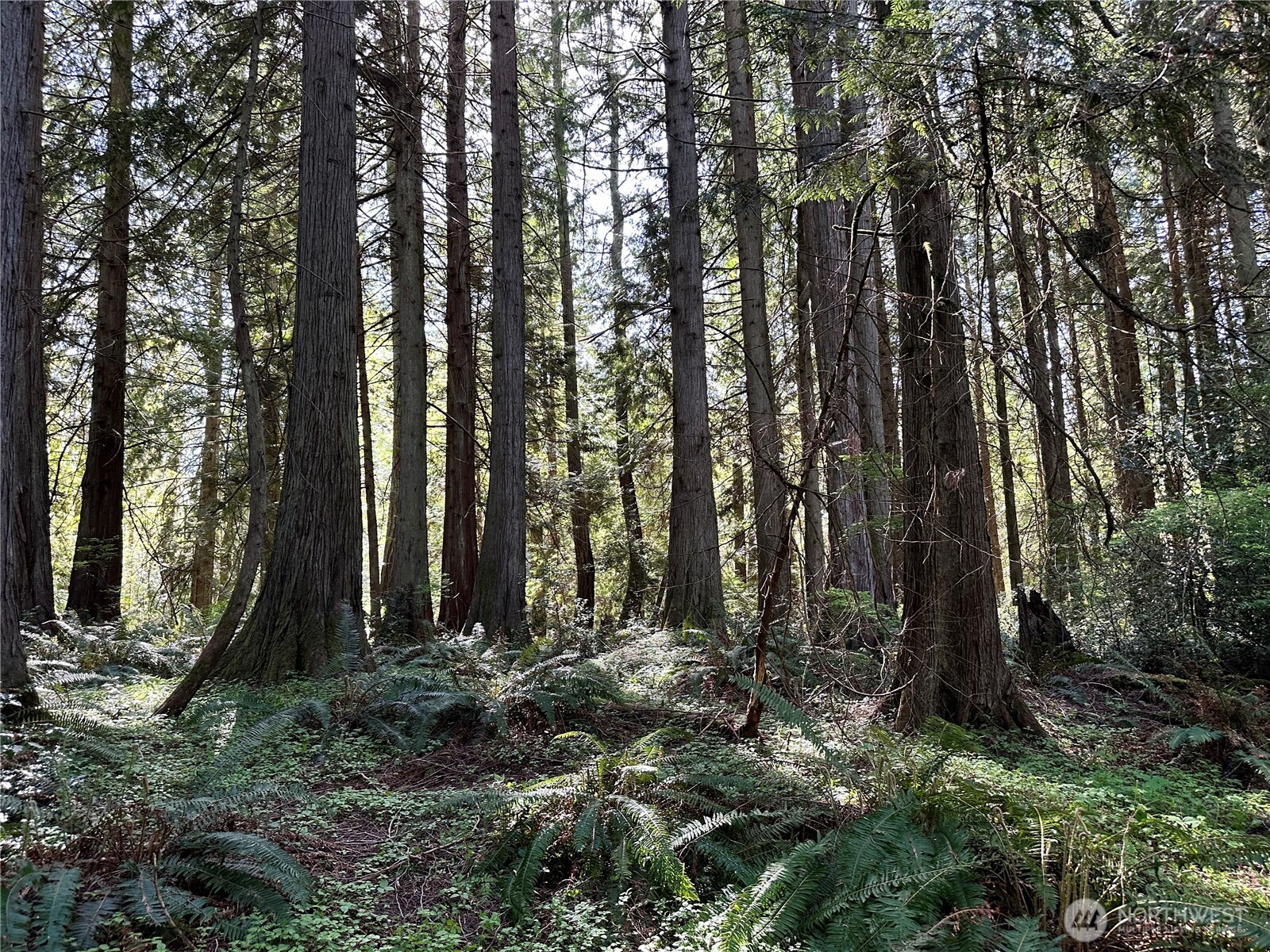 0 Lot 31 NW Lakeness , Poulsbo, WA 98370