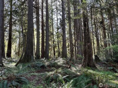 0 Lot 31 NW Lakeness , Poulsbo, WA 98370 - Photo 8