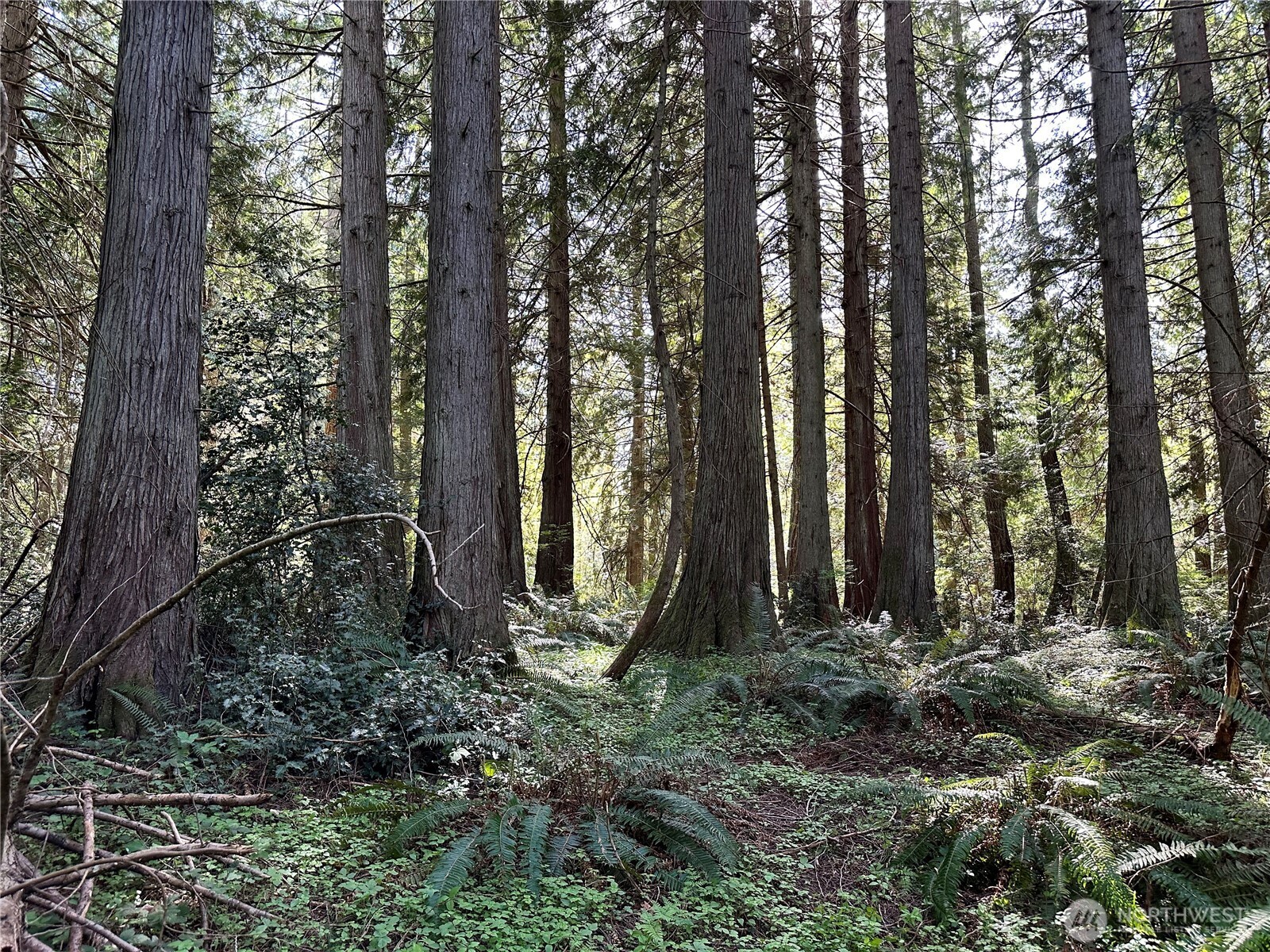 0 Lot 31 NW Lakeness , Poulsbo, WA 98370