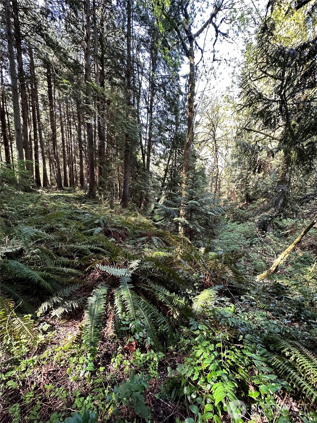 0 Lot 31 NW Lakeness , Poulsbo, WA 98370