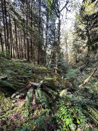 0 Lot 31 NW Lakeness , Poulsbo, WA 98370 - Photo 10