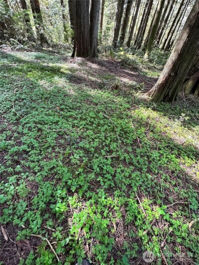 0 Lot 31 NW Lakeness , Poulsbo, WA 98370 - Photo 11