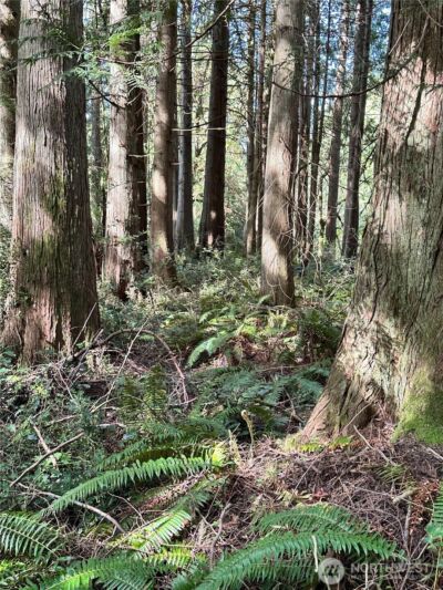 0 Lot 31 NW Lakeness , Poulsbo, WA 98370 - Photo 12