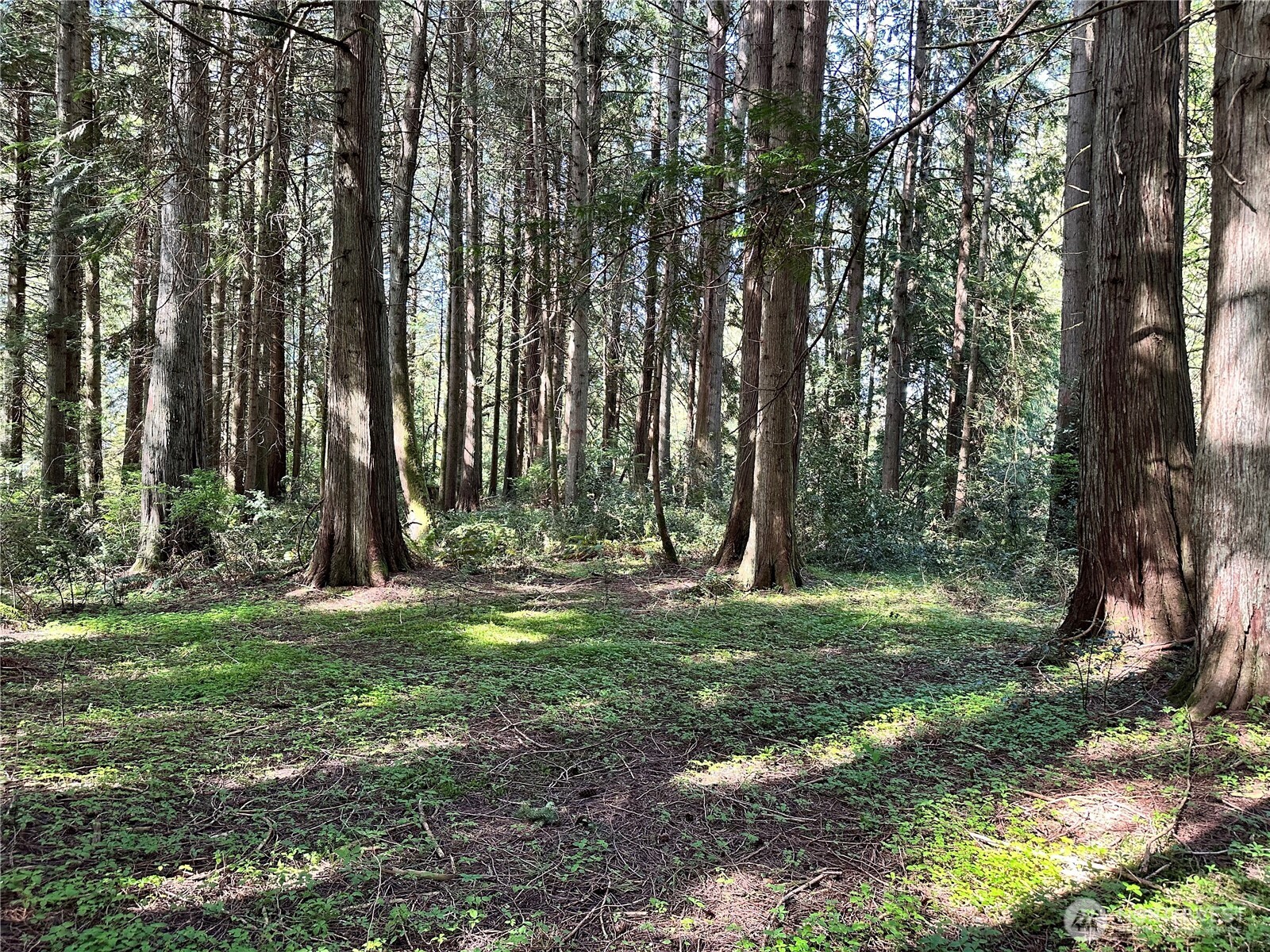 0 Lot 31 NW Lakeness , Poulsbo, WA 98370