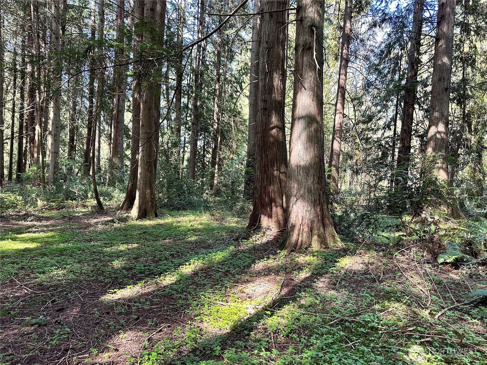 0 Lot 31 NW Lakeness , Poulsbo, WA 98370