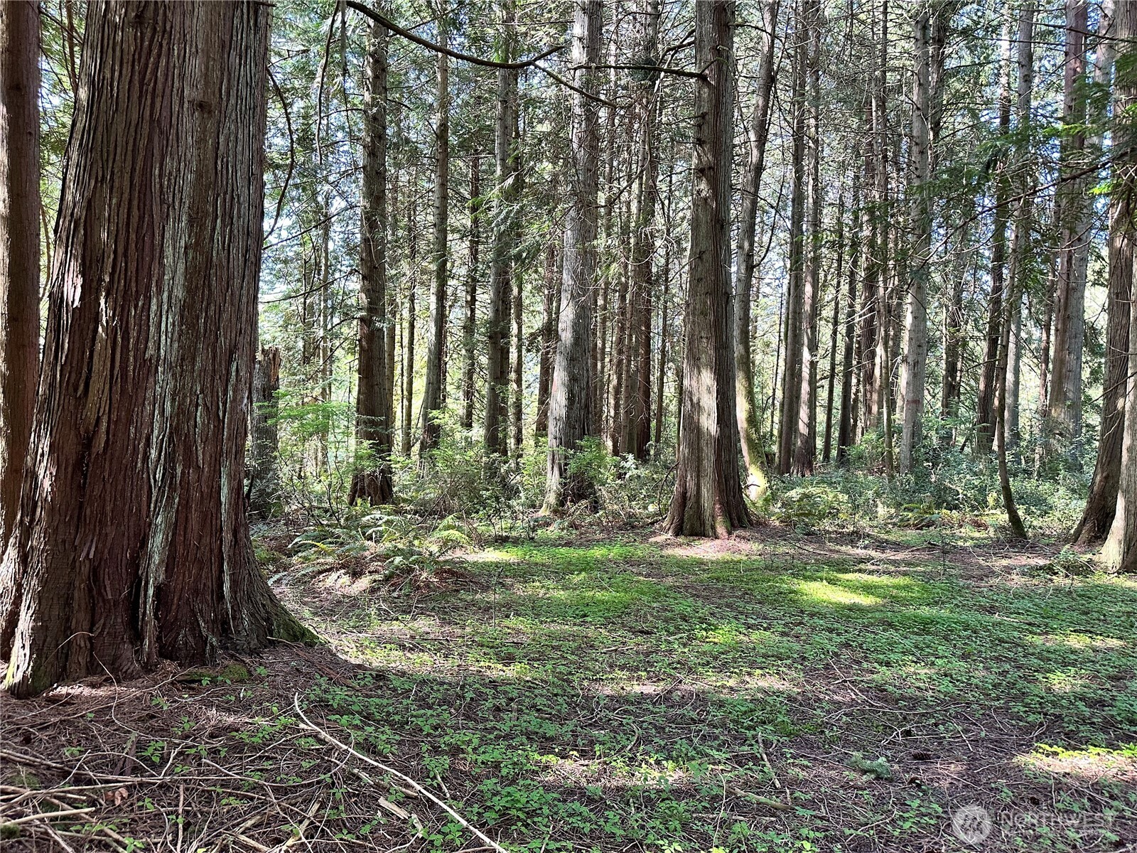 0 Lot 31 NW Lakeness , Poulsbo, WA 98370