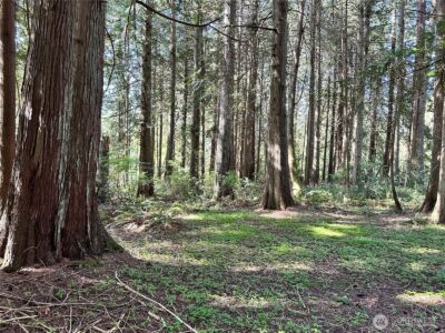 0 Lot 31 NW Lakeness , Poulsbo, WA 98370 - Photo 16