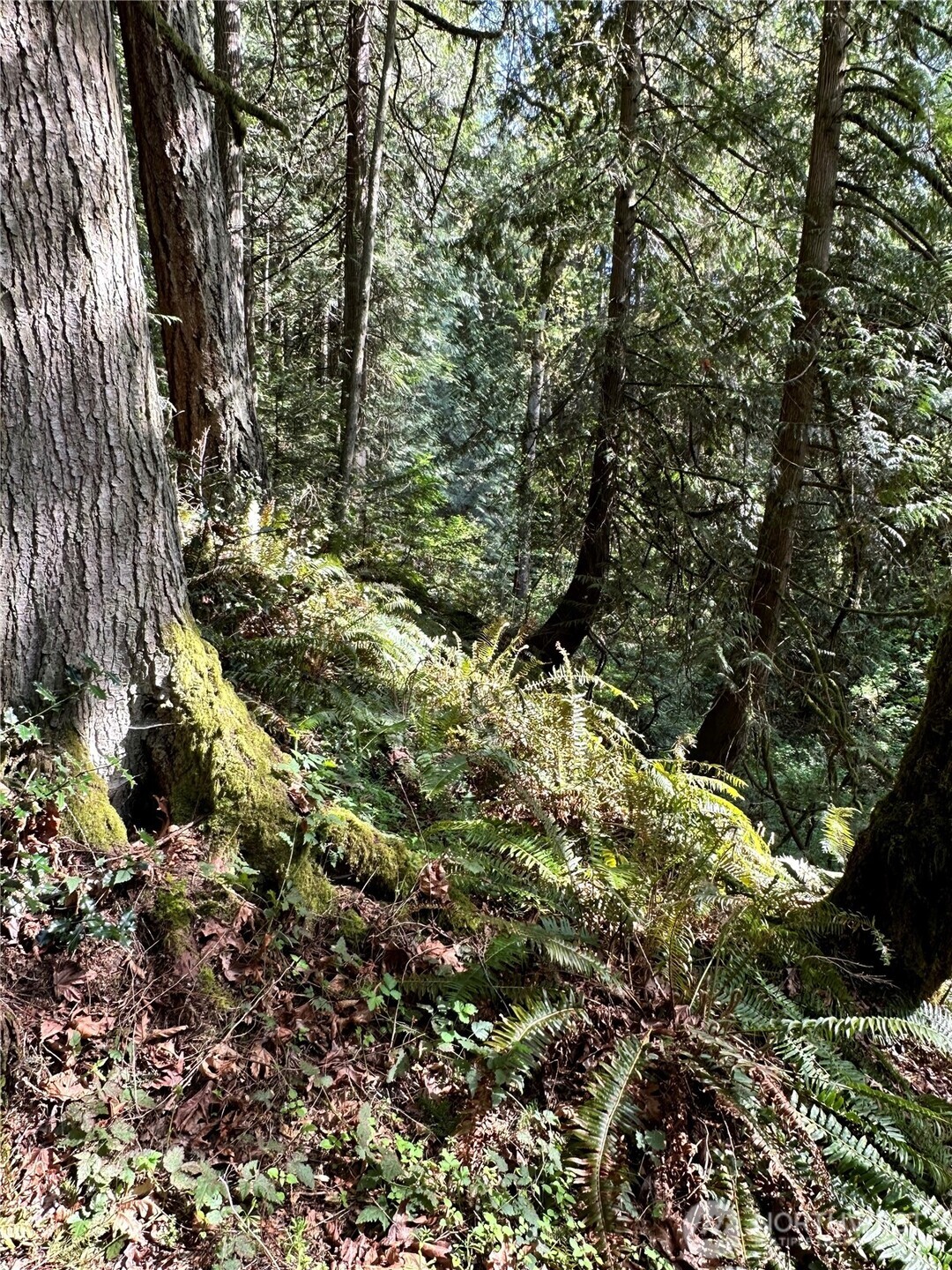 0 Lot 31 NW Lakeness , Poulsbo, WA 98370