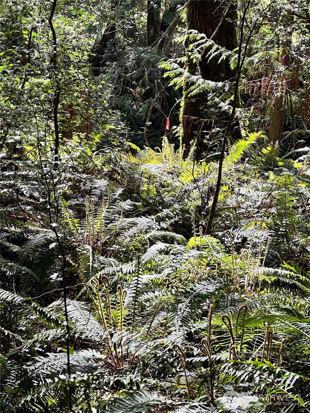 0 Lot 31 NW Lakeness , Poulsbo, WA 98370