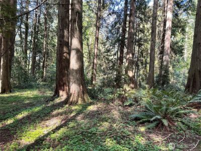 0 Lot 31 NW Lakeness , Poulsbo, WA 98370 - Photo 2