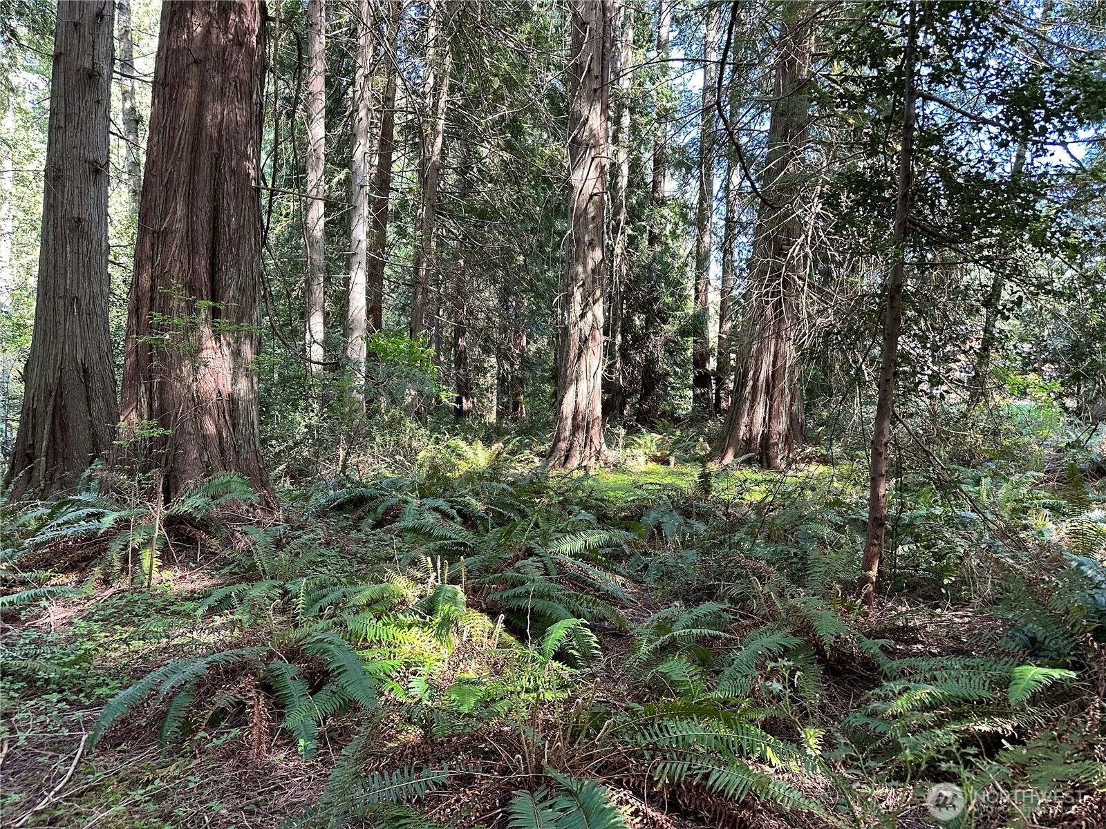 0 Lot 31 NW Lakeness , Poulsbo, WA 98370