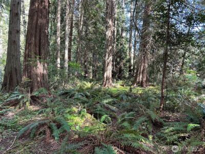 0 Lot 31 NW Lakeness , Poulsbo, WA 98370 - Photo 3