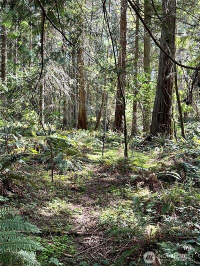 0 Lot 31 NW Lakeness , Poulsbo, WA 98370 - Photo 4