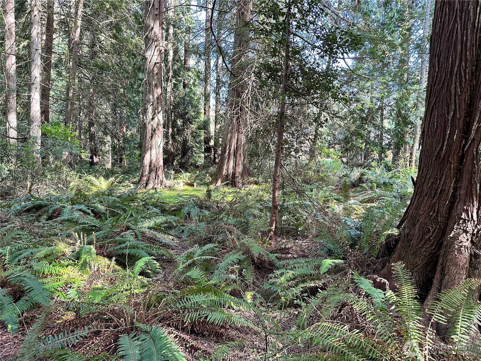 0 Lot 31 NW Lakeness , Poulsbo, WA 98370