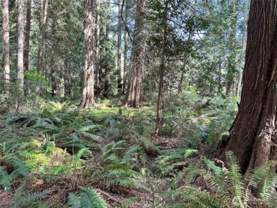 0 Lot 31 NW Lakeness , Poulsbo, WA 98370 - Photo 5