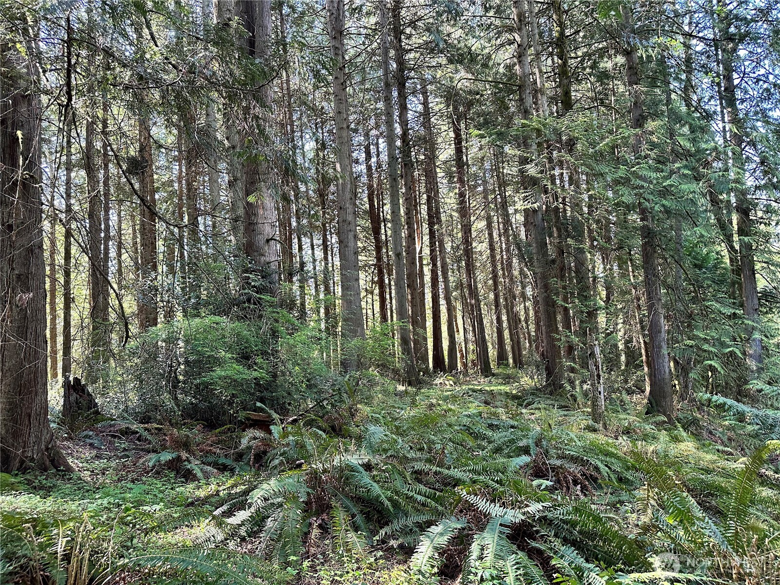 0 Lot 31 NW Lakeness , Poulsbo, WA 98370
