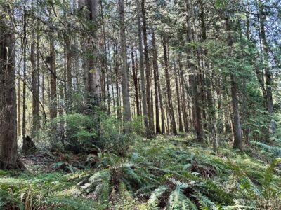 0 Lot 31 NW Lakeness , Poulsbo, WA 98370 - Photo 6