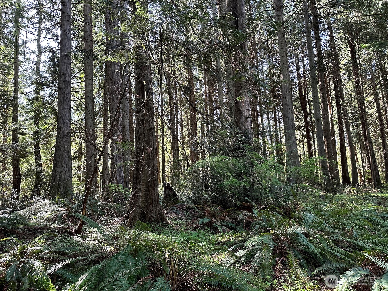 0 Lot 31 NW Lakeness , Poulsbo, WA 98370