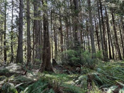 0 Lot 31 NW Lakeness , Poulsbo, WA 98370 - Photo 7