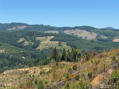3725 Little Kalama River Road #E, Woodland, WA 98674 - Photo 11