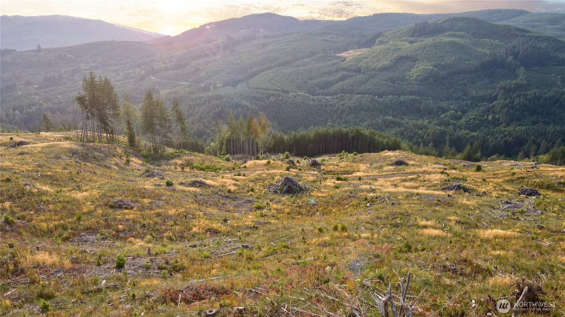 3725 Little Kalama River Road #E, Woodland, WA 98674