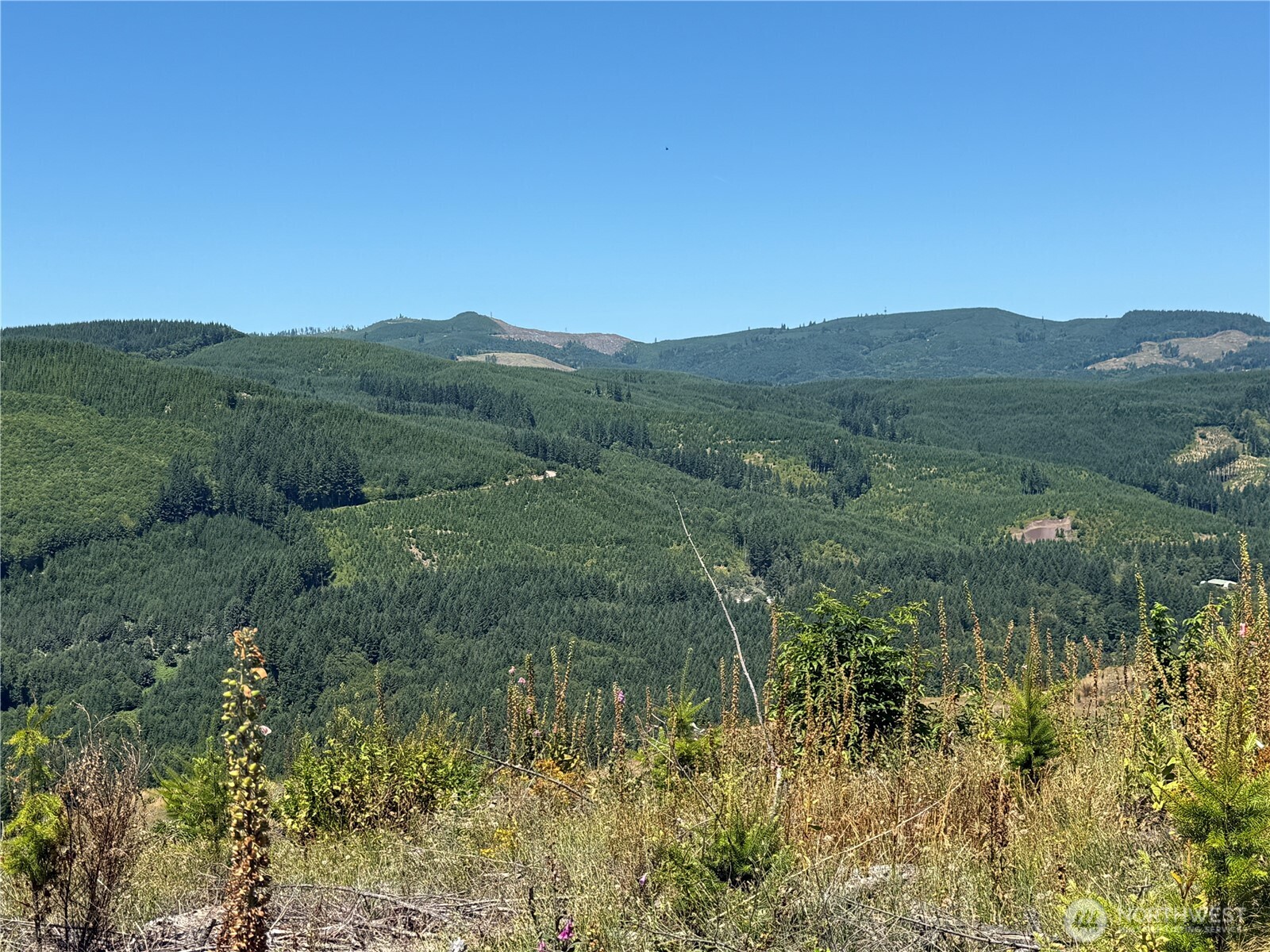 3725 Little Kalama River Road #E, Woodland, WA 98674
