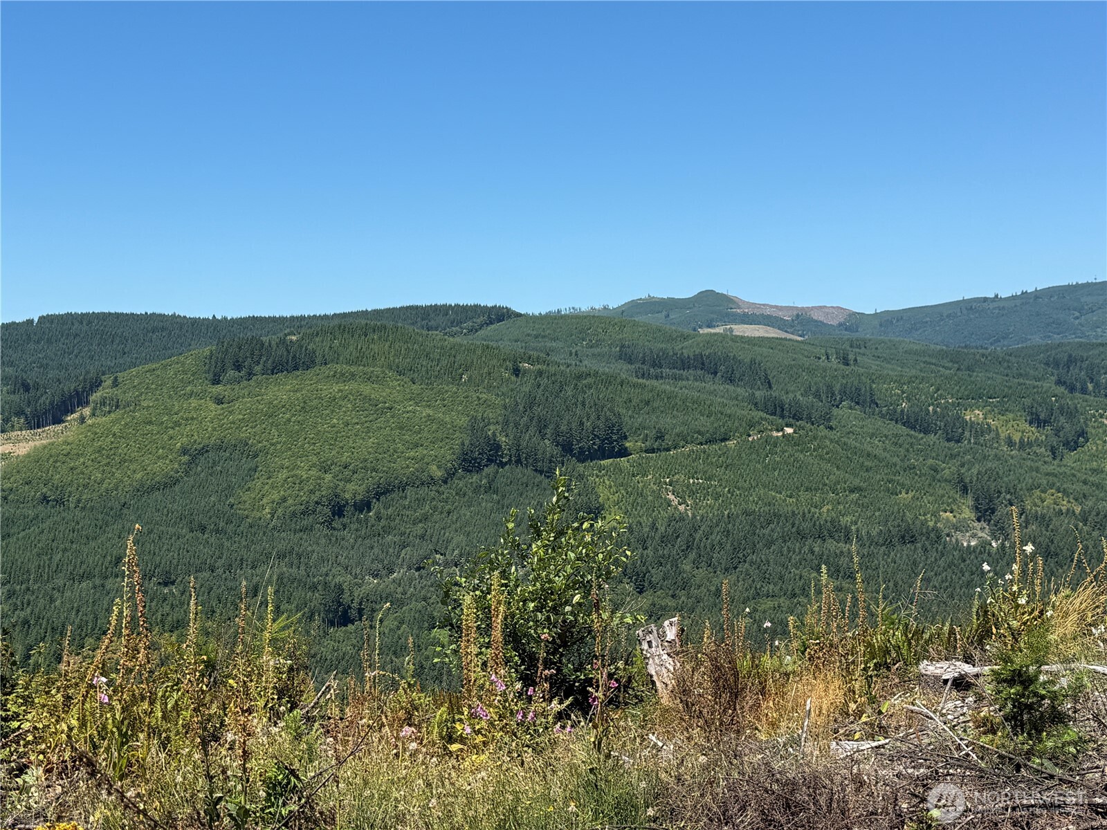 3725 Little Kalama River Road #E, Woodland, WA 98674