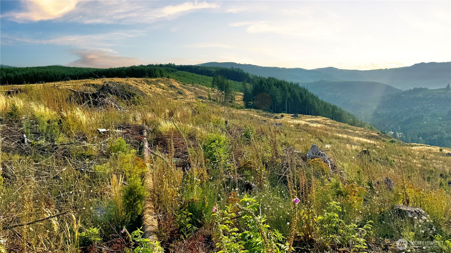 3725 Little Kalama River Road #E, Woodland, WA 98674