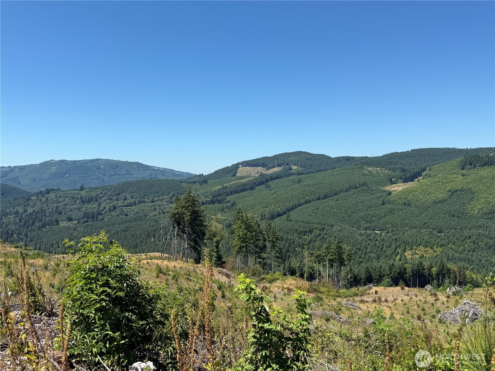 3725 Little Kalama River Road #E, Woodland, WA 98674