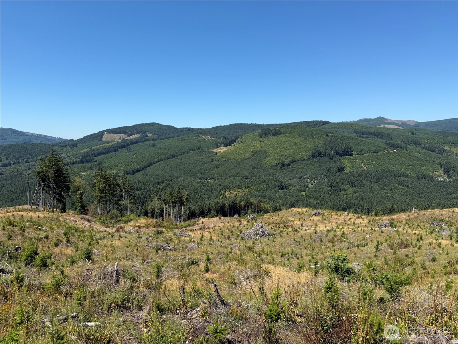 3725 Little Kalama River Road #E, Woodland, WA 98674