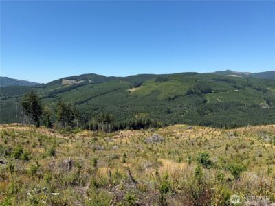 3725 Little Kalama River Road #E, Woodland, WA 98674 - Photo 26