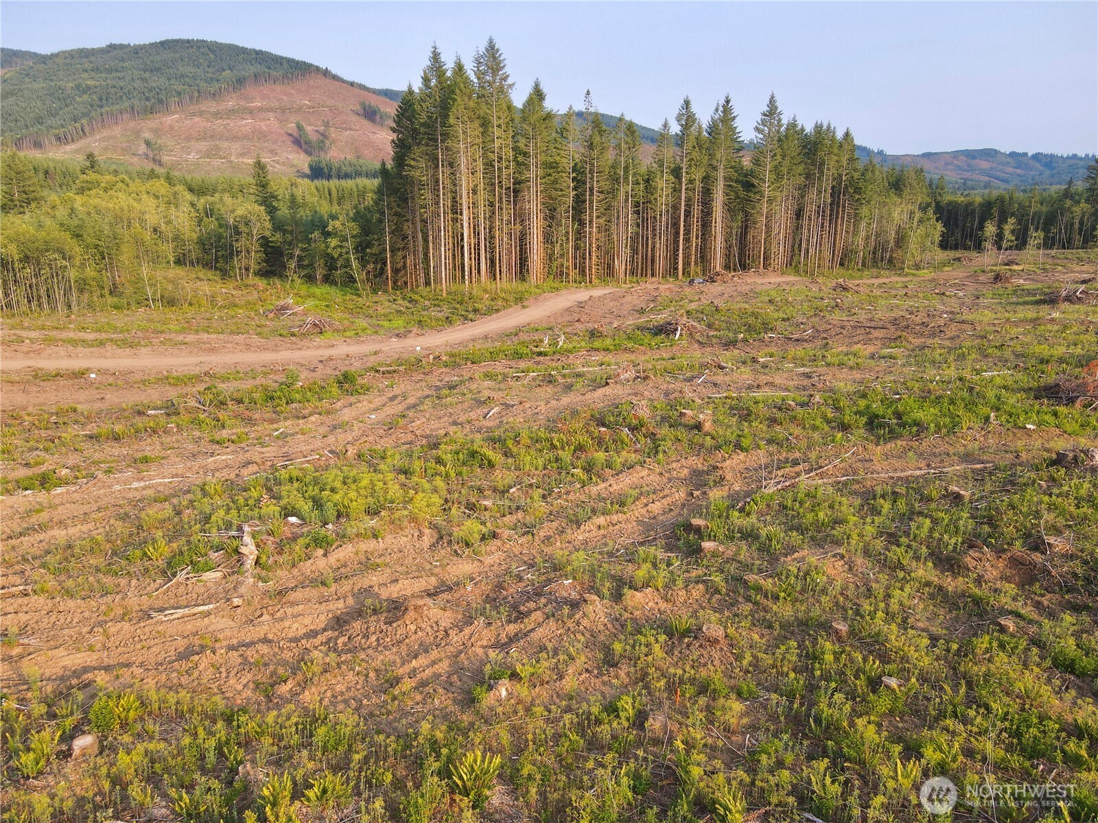 3725 Little Kalama River Road #E, Woodland, WA 98674