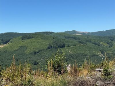 3725 Little Kalama River Road #E, Woodland, WA 98674 - Photo 3
