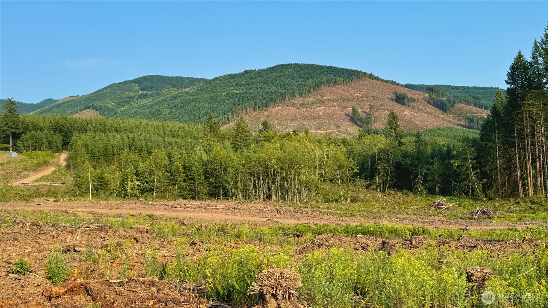 3725 Little Kalama River Road #E, Woodland, WA 98674