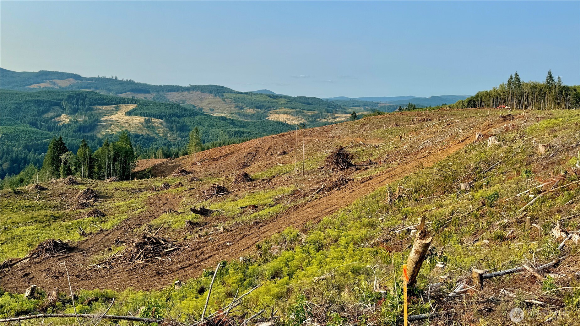 3725 Little Kalama River Road #E, Woodland, WA 98674