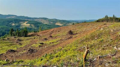 3725 Little Kalama River Road #E, Woodland, WA 98674 - Photo 32